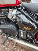 Triumph Bonneville Bobber Goldline - TRIUMPH BONNEVILLE