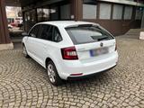 Skoda Rapid 1.0 TSI Ambition Spaceback Ambition - Skoda Rapid in München
