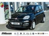Fiat Pandina ICON Hybrid 1.0 GSE TEMPOMAT PDC LANE KL - scheckheftgepflegte Fiat New Panda