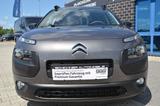 Citroën C4 Cactus Business NAVI PANORAMADACH PDC KLIMAAU - Citroën: Business