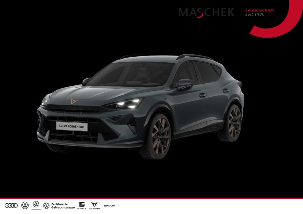Cupra Formentor VZ 2.0 TSI DSG Matrix AHK Navi 19 Zoll