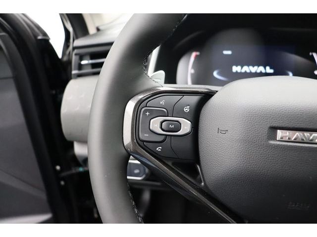 Fahrzeugabbildung GWM Haval Jolion Pro Premium 1.5 Turbo 7 Gang Pano S