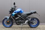 Yamaha MT-125 ABS / Zubehör / MY 2025 / TFT - YAMAHA MT125