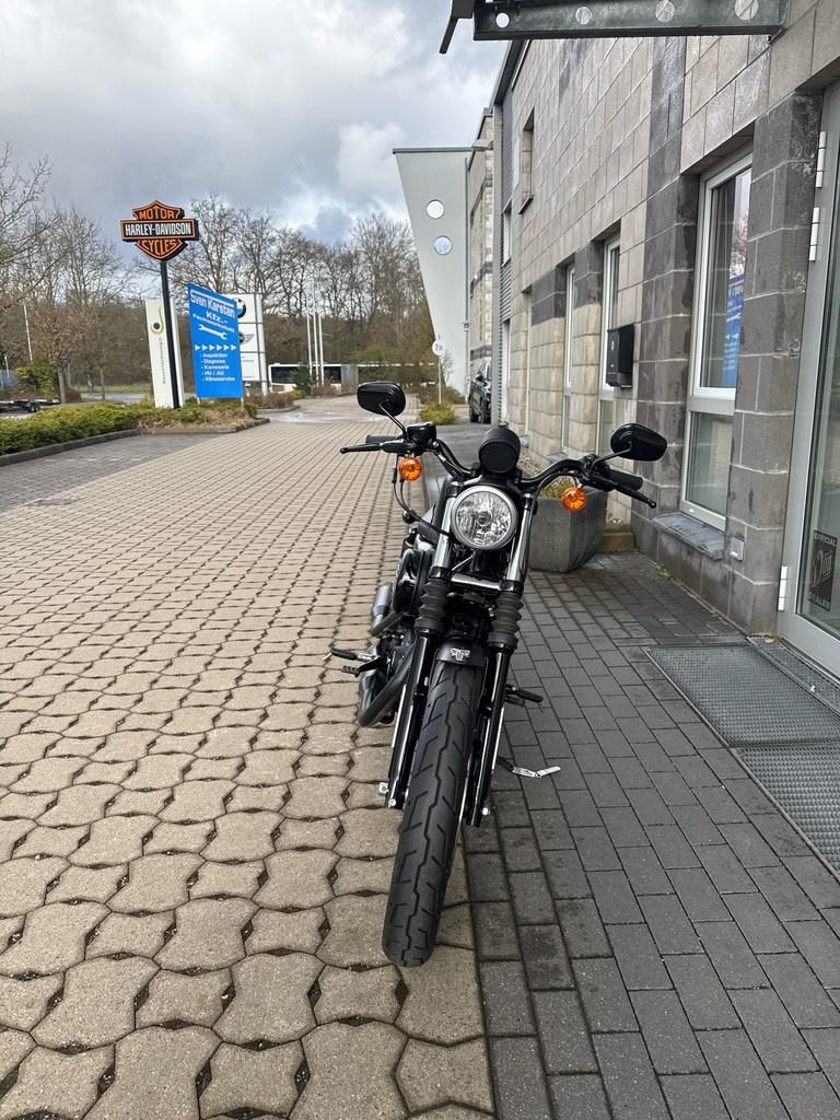 Harley-Davidson XL883N Sportster Iron