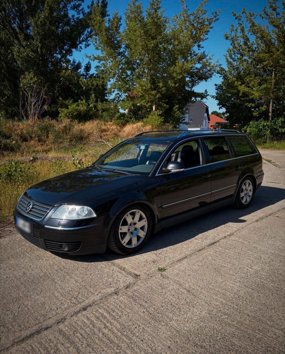 Volkswagen Passat 2004 — rear view