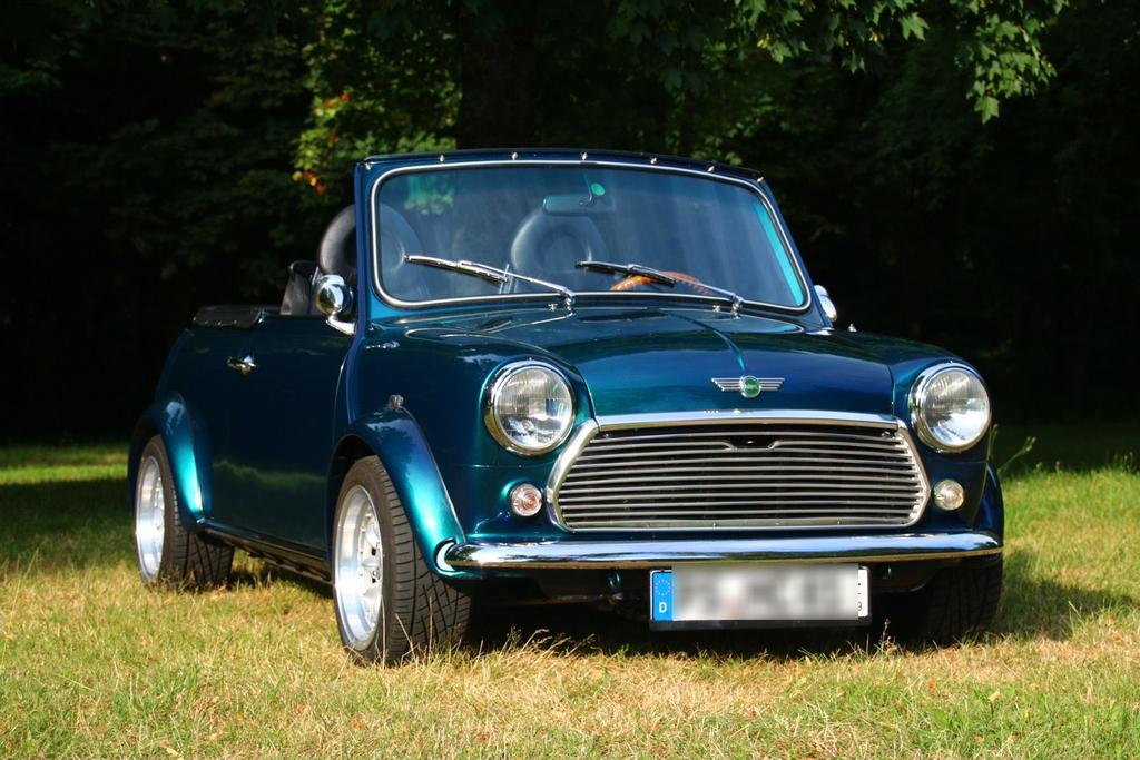 MINI 1300