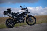 Triumph Tiger 900 Rally Pro | Top-Zustand - Triumph Tiger 900 Rally Pro