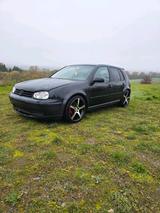 Volkswagen VW GOLF 4  1,8T GTI EXKLUSIV EDITION | 180... - Volkswagen Golf aus 2003: GTI