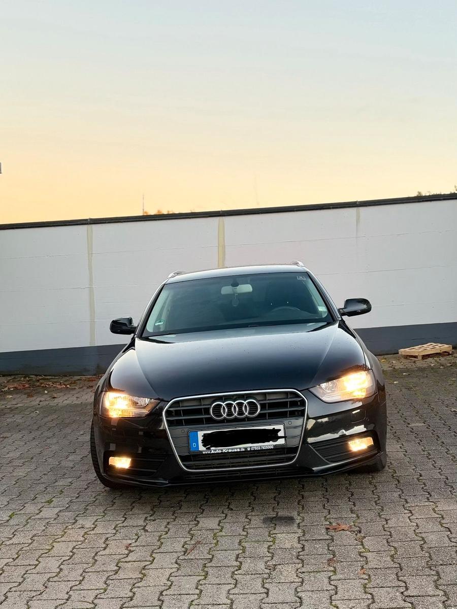 Audi A4 2013 — вигляд ззаду