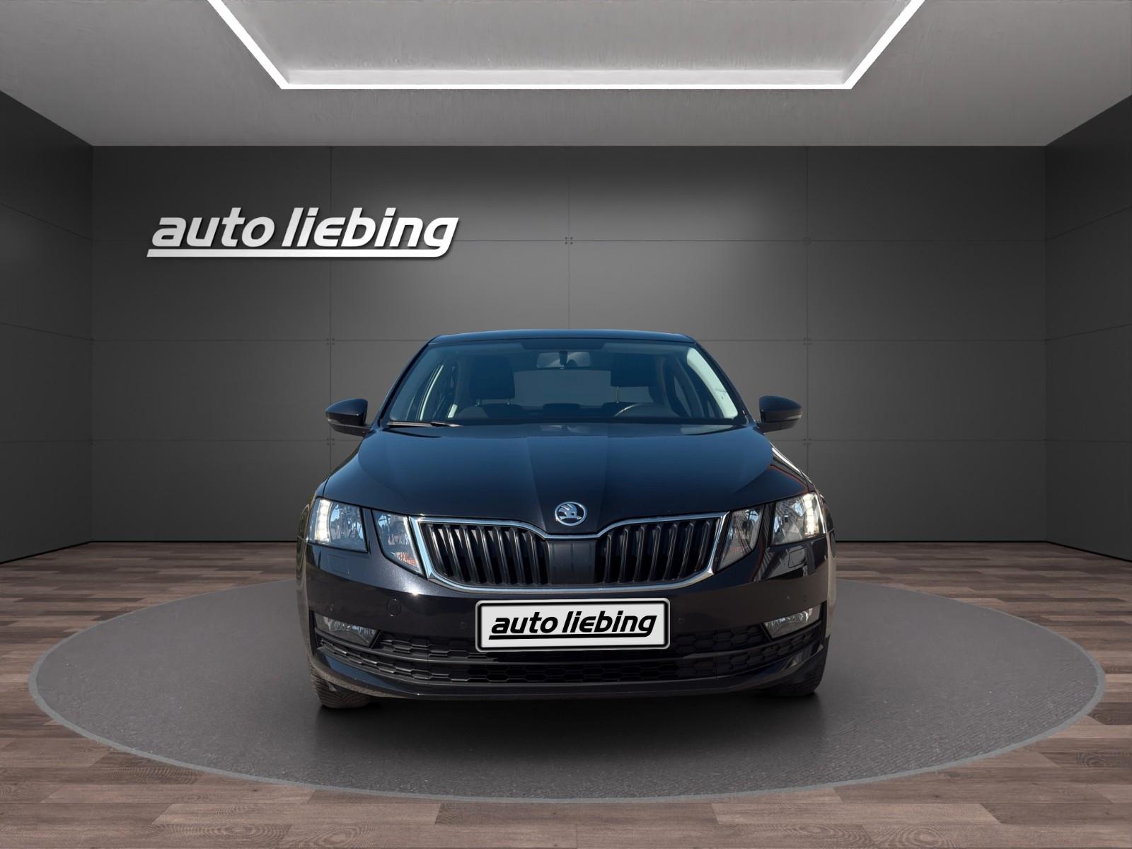 Skoda Octavia Lim. Ambition*Smart Link*Kamera*top