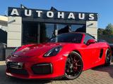 Porsche 981 Spyder Sport-Chrono*Sammler*Carbon* - Porsche Boxster 981 mit Benzin-Antrieb