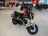 Honda ST125 DAX - HONDA DAX 125