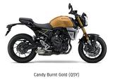 Suzuki GSX-8T M6 Neumodel Retro 4 Jahre Garantie - MOTORRAD RETRO