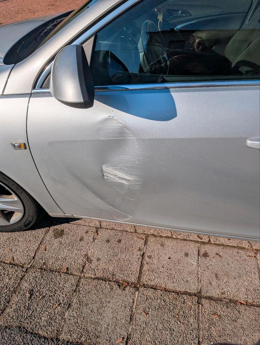 Opel Insignia 2009 — вигляд ззаду