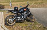 Yamaha XSR900 80's Black 1.Hand  - YAMAHA 80