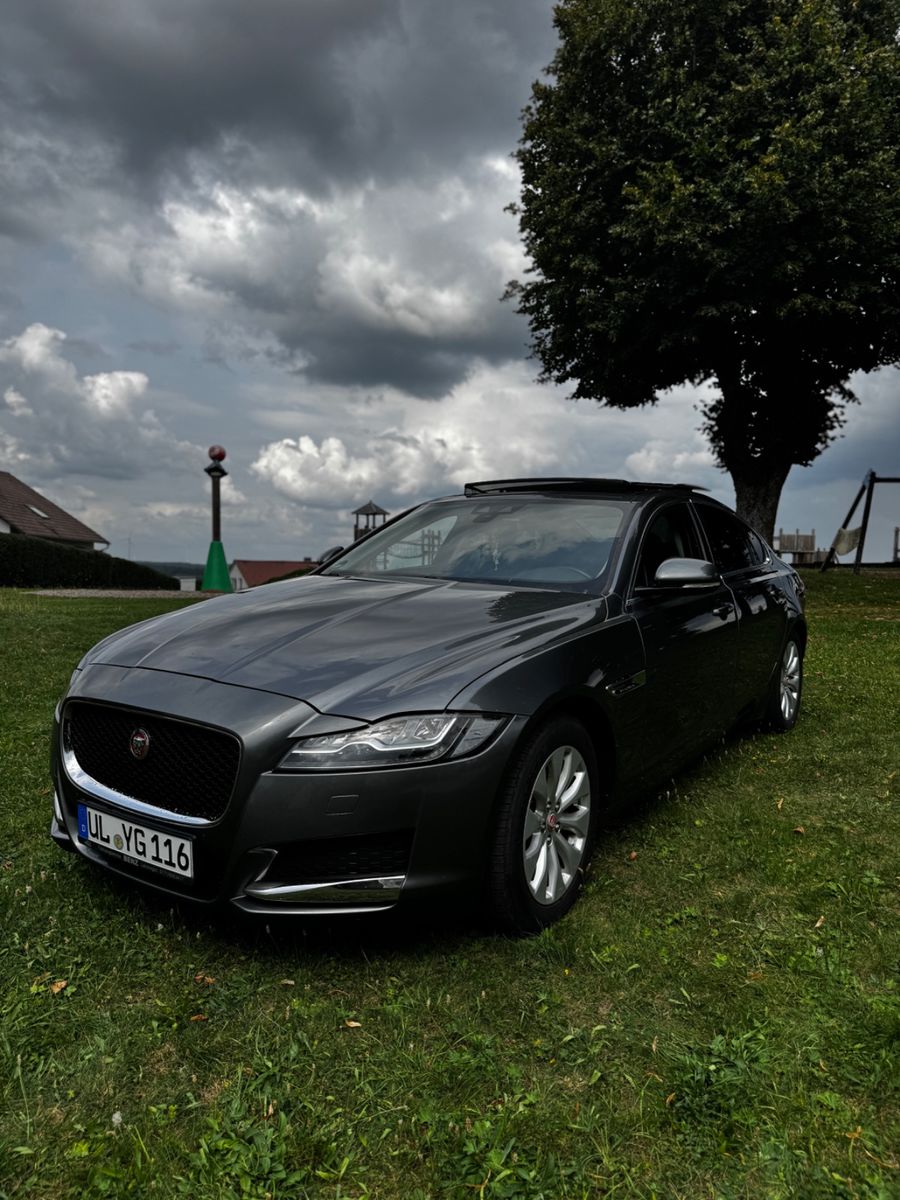 JAGUAR XF