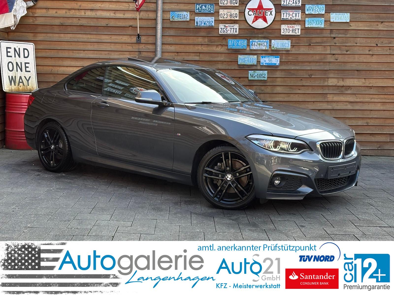 BMW 220i M Sport Automatik LED Spurh. Schiebedach