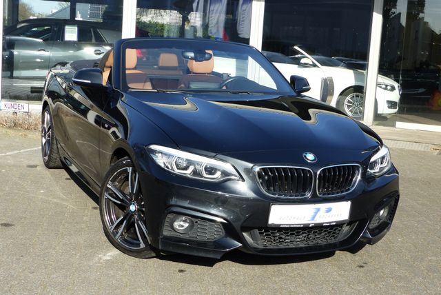 BMW 220i MSport Aut. Leder Navi PDC Windschott