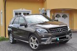 Mercedes-Benz Mercedes ML 400 4-Matic 333 PS AMG Line - : Mercedes Ml
