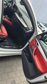 BMW X6 M50 M50d - - BMW X6 M50 aus 2019