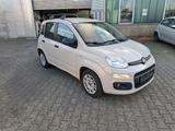 Fiat New Panda 1.2 8V EASY - Fiat New Panda in Wuppertal