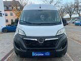 Opel Movano C Kasten/Kombi L2H2 LED/MFL/DAB/EUR6 - Opel Movano Kombi Gebrauchtwagen