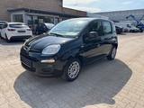 Fiat Panda 1.2 Easy*2.Hand*TÜV 12/2026*Klima - Fiat Panda in Halle