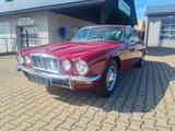Jaguar  XJ6  Sovereign Langversion   LWB  - rote Jaguar XJ6