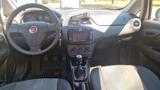Fiat Punto 1.2 8V MYSTYLE - Fiat Punto Gebrauchtwagen in Stuttgart