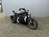Ducati X Diavel Dark 1260 - WENIG KM - Angebote entsprechen deinen Suchkriterien