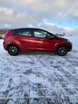 Ford Fiesta 1,25 60kW Trend Trend - Ford Fiesta aus 2009: 1.6