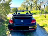 Volkswagen Beetle 2.0 TDI DSG BMT ALLSTAR Cabriolet ALLSTAR - Volkswagen Beetle: TDI