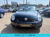 Volkswagen Beetle Cabriolet Basis BMT*SERVICE NEU*KLIMA* - Volkswagen Beetle mit Benzin-Antrieb: Cabrio