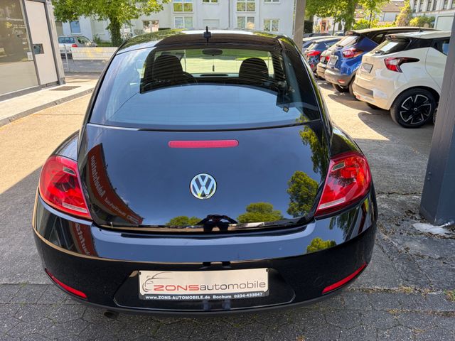 Fahrzeugabbildung Volkswagen Beetle+1.Hand+NaviZB+AllwetterRäder+