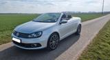 Volkswagen Eos 2.0 TDI Exclusive Exclusive - Volkswagen Eos: Exclusive