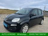 Fiat New Panda 1.2 8V MYSTYLE Klima EURO 6 - schwarze Fiat New Panda
