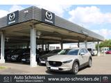 Mazda CX-30 SKYACTIV-G+SELECTION+KAMERA+SHZ+NAV - silberne Mazda CX-30