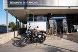 Triumph Scrambler 900 EU5  ohne Zulassung - TRIUMPH 900 SCRAMBLER