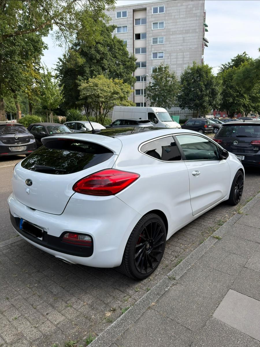 Kia pro_cee'd / ProCeed 1.6 GDI Spirit pro_cee'd...