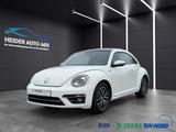 Volkswagen Beetle Allstar BMT 1.HAND|NAVI|PANO|XENON|KAMERA - Volkswagen Beetle ALLSTAR mit Benzin-Antrieb