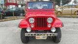Jeep Willys Americana - : Geländewagen, American