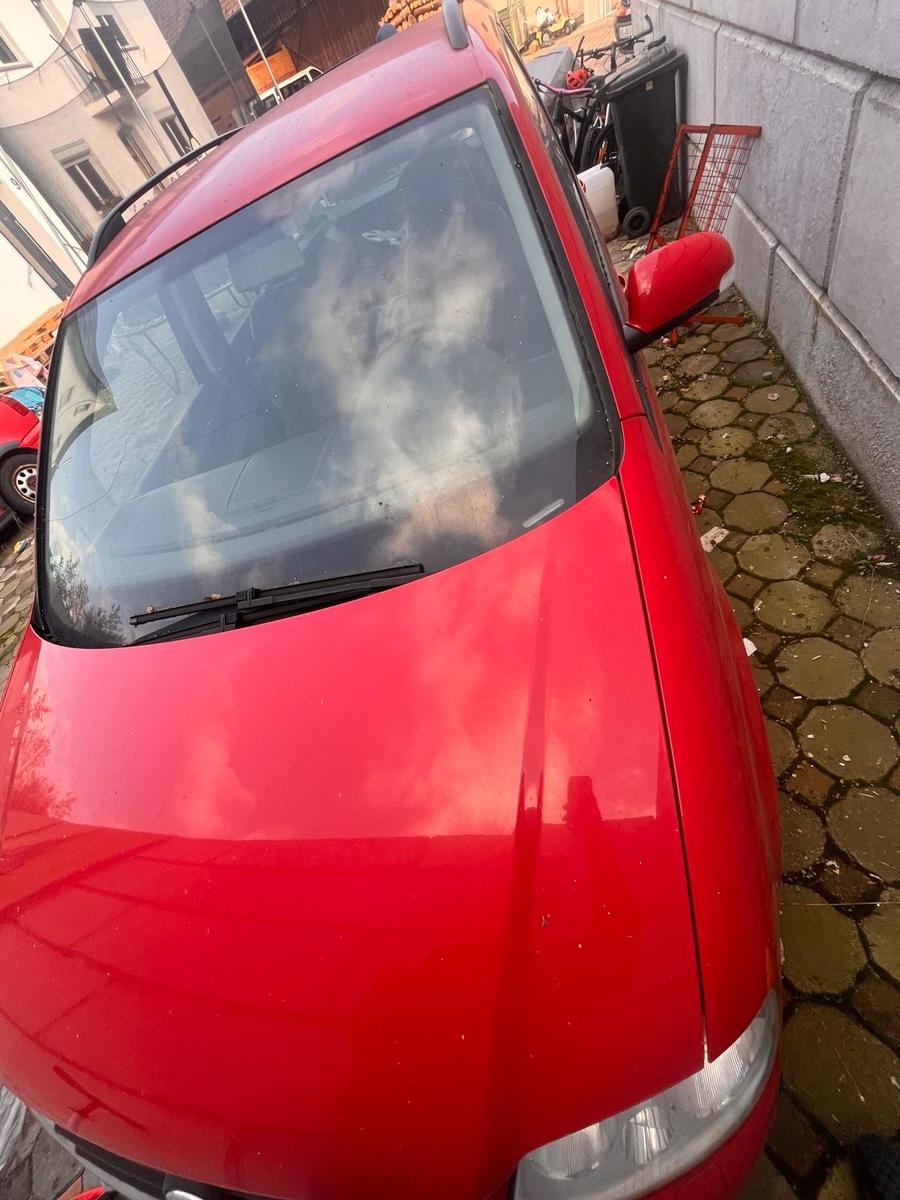 Ford Focus 2009 — photo 9