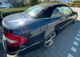 Mercedes-Benz CLK 280 CABRIOLET Leder - Mercedes-Benz: Cabrio, Clk