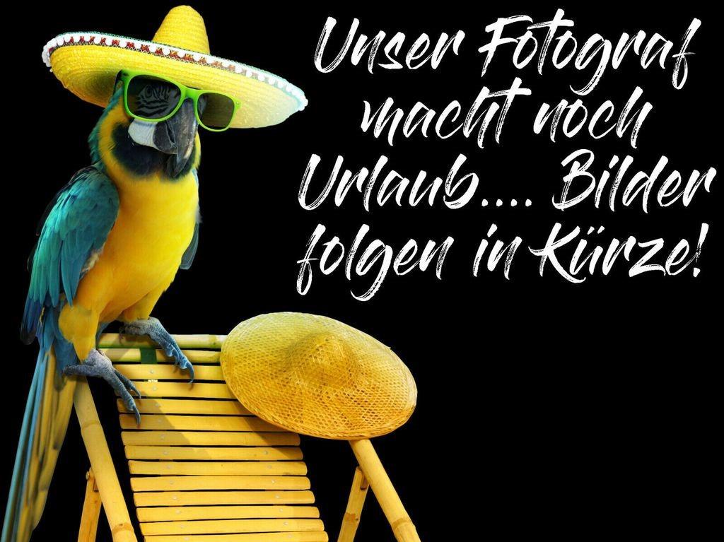 Challenger C194 Break Ed. Mod.25! Connect+Zubehörpaket