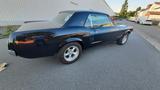 Ford Mustang - Ford Gebrauchtwagen von 1967
