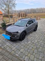 Hyundai TUCSON 1.6 CRDi DCT Advantage 2WD Advantage - Hyundai Tucson Advantage mit Diesel-Antrieb