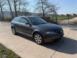 Audi a3 8p 1.6 - Audi A3 aus 2003: 8p