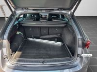 Skoda Octavia - Vorschau Bild 16