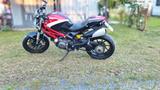 Ducati Monster 796 ABS - Ducati Motorräder in Nürnberg