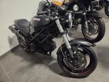 Ducati Monster 695 termignoli - Angebote